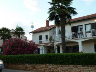 P1000230.JPG