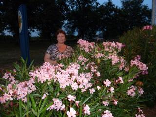 P1000360.JPG