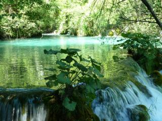 P1000287.JPG