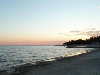 P1000232.JPG
