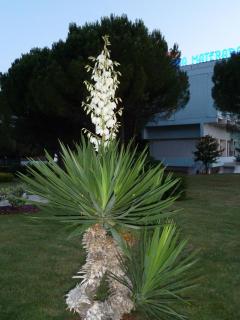 P1000357.JPG