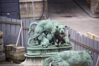 IMG_6762.jpg