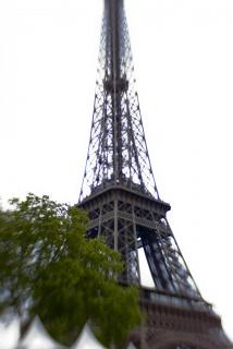 IMG_6850.jpg