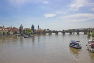 IMG_7962.jpg