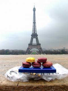 custom_1267510343212_macarons_gregory_renard____la_tour_eiffel_by_canon_s3_is_in_paris__france.jpeg
