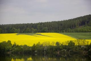 IMG_7752.jpg