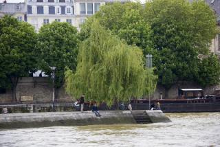 IMG_6969.jpg