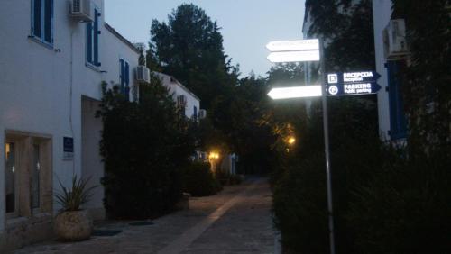 DSC08871.JPG