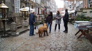 DSC05423.JPG