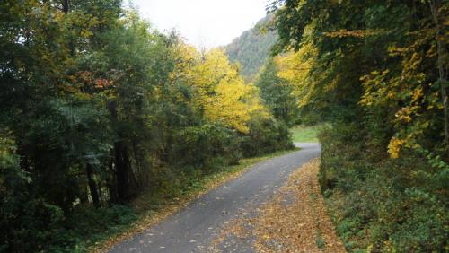 DSC09382.JPG