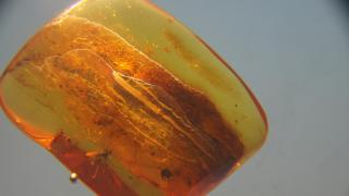 DSC05119.JPG
