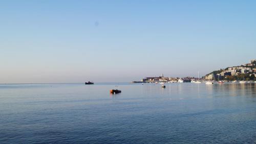 DSC07995.JPG