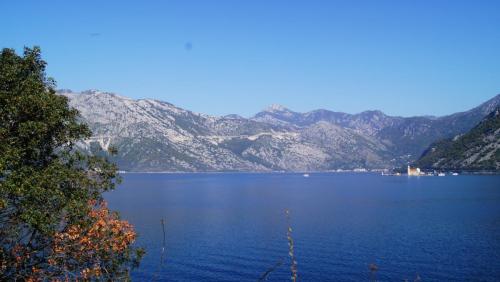 DSC08199.JPG