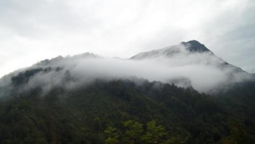 DSC09124.JPG