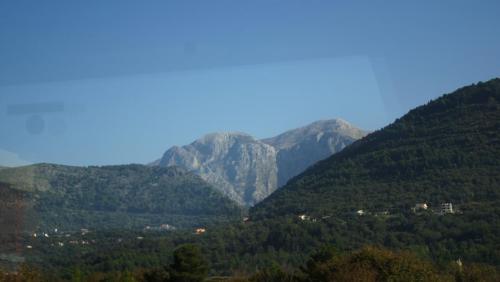 DSC08157.JPG