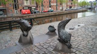 DSC05771.JPG