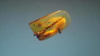 DSC05110.JPG
