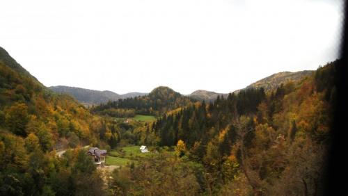 DSC09540.JPG