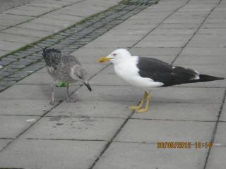 IMG_3802.JPG
