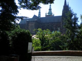 P6230654.JPG