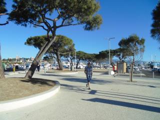 DSC00908.JPG