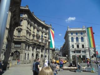 DSC00985.JPG