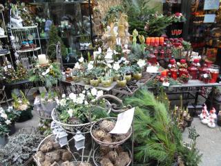 DSC00580.JPG