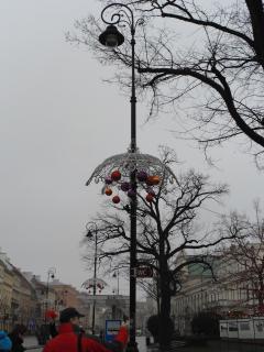 DSC00469.JPG