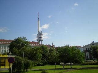 P6230645.JPG