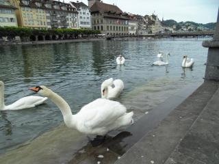 DSC00470.JPG