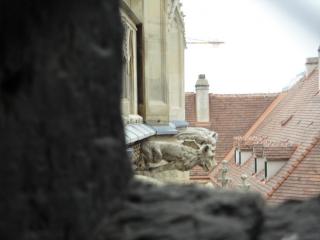 DSC00586.JPG