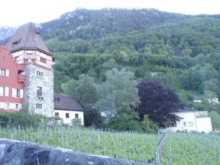 DSC00324.JPG