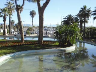 DSC00895.JPG