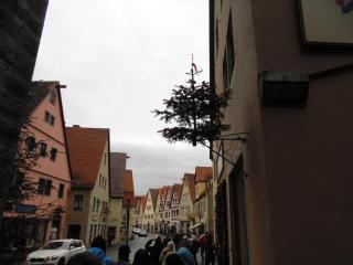 DSC01061.JPG