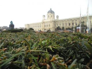 DSC00548.JPG
