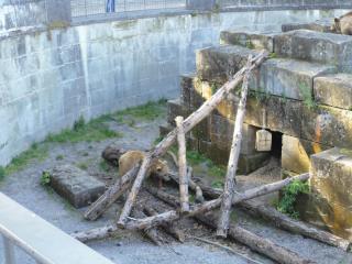 DSC00511.JPG