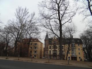 DSC00972.JPG