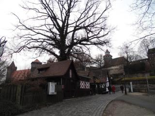DSC00973.JPG