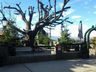 20131217_155204.jpg
