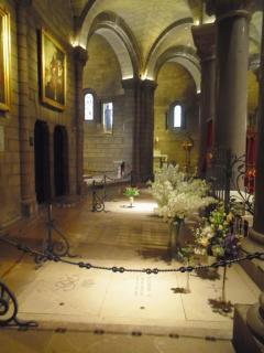 DSC00875.JPG