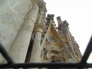 DSC00595.JPG