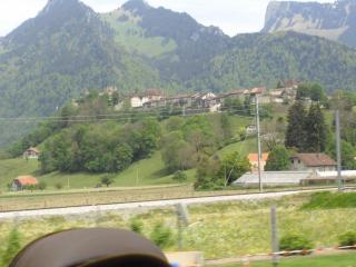 DSC00604.JPG