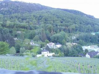 DSC00322.JPG