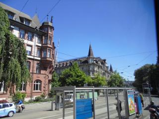 DSC00377.JPG