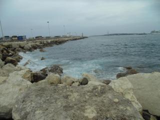 DSC00695.JPG