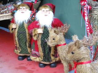 DSC00769.JPG