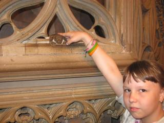 IMG_2051.JPG