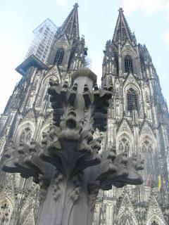 IMG_1333.JPG