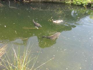 IMG_1410.JPG