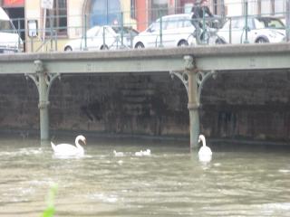 IMG_2090.JPG